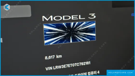 TESLA MODEL 3 PERFORMANCE AWD