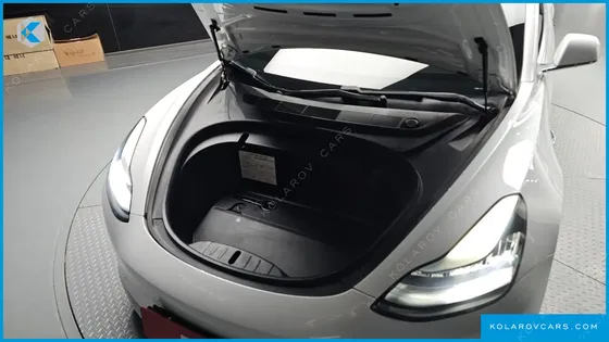 TESLA MODEL 3 STANDARD RANGE PLUE RWD