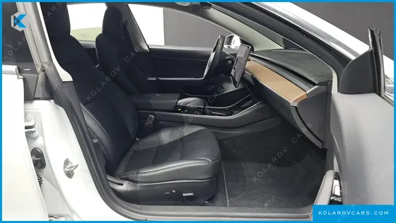 TESLA MODEL 3 STANDARD RANGE PLUE RWD