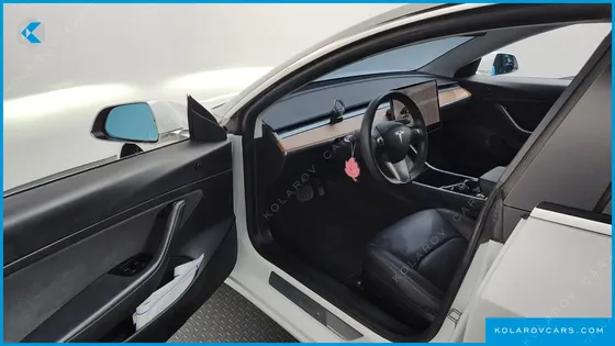 TESLA MODEL 3 STANDARD RANGE PLUE RWD