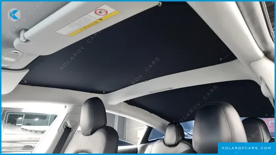 TESLA MODEL 3 STANDARD RANGE PLUE RWD