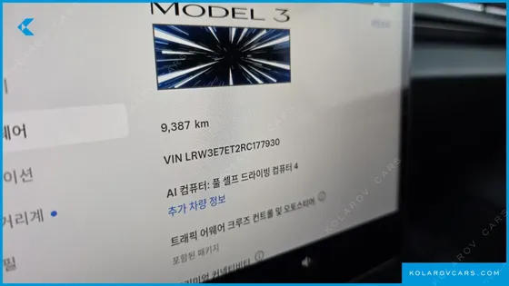 TESLA MODEL 3 PERFORMANCE AWD