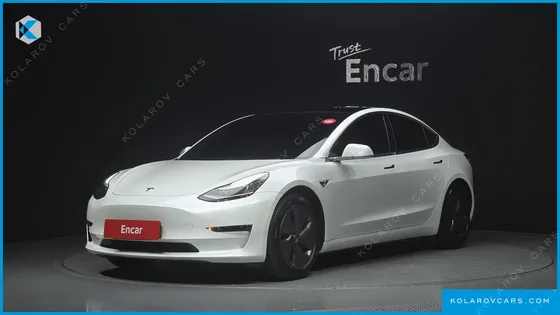 TESLA MODEL 3 STANDARD RANGE PLUE RWD