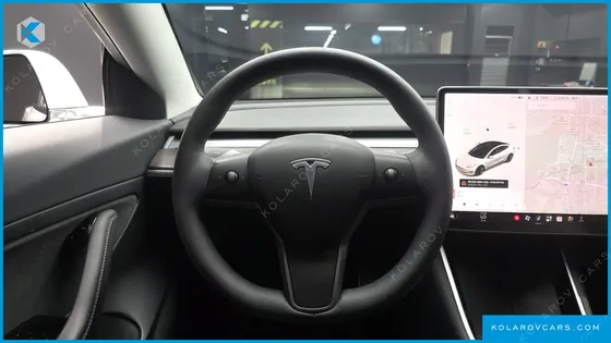 TESLA MODEL 3 STANDARD RANGE PLUE RWD