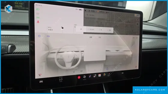 TESLA MODEL 3 STANDARD RANGE PLUE RWD