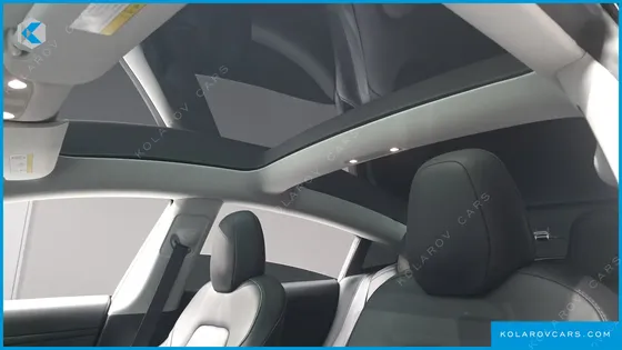 TESLA MODEL 3 STANDARD RANGE PLUE RWD