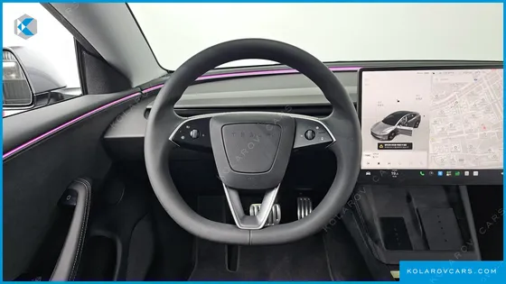 TESLA MODEL 3 PERFORMANCE AWD