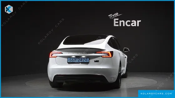 TESLA MODEL 3 PERFORMANCE AWD