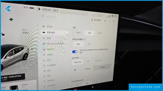 TESLA MODEL 3 PERFORMANCE AWD