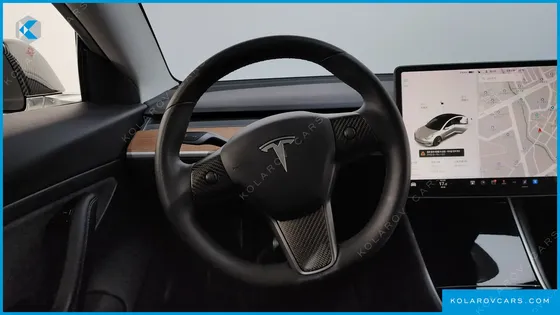 TESLA MODEL 3 STANDARD RANGE PLUE RWD