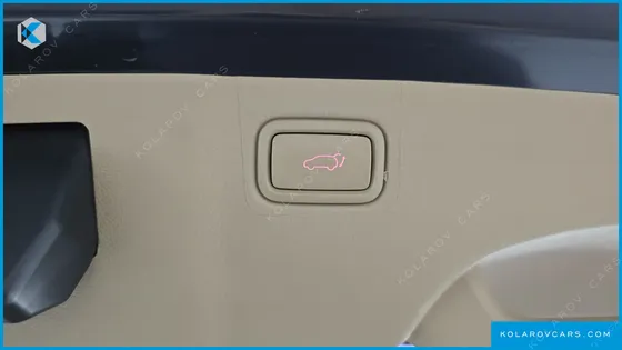 KIA CARNIVAL 9-SEATER HI-LIMOUSINE
