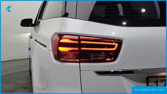 KIA CARNIVAL 9-SEATER NOBLESSE SPECIAL