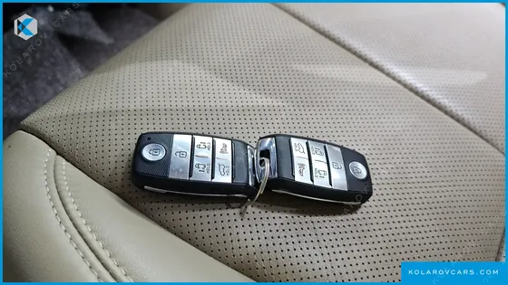 KIA CARNIVAL 9-SEATER NOBLESSE SPECIAL