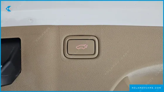 KIA CARNIVAL 9-SEATER NOBLESSE SPECIAL