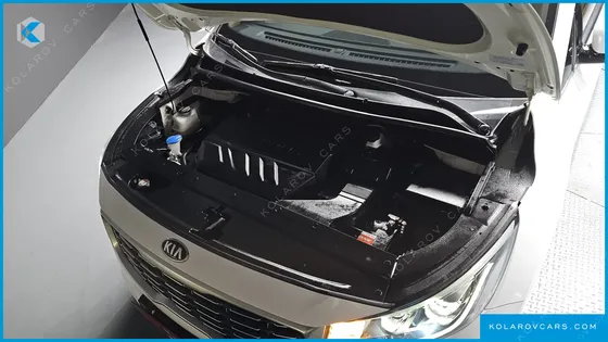 KIA CARNIVAL 7-SEATER LIMOUSINE