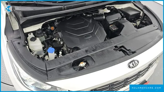 KIA CARNIVAL GASOLINE 9-SEATER NOBLESSE SPECIAL