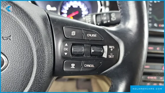KIA CARNIVAL GASOLINE 9-SEATER NOBLESSE SPECIAL