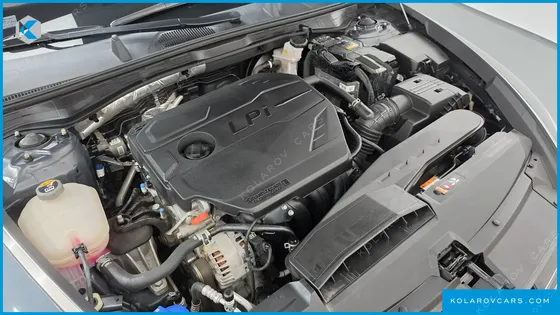 HYUNDAI SONATA 2.0 LPG(RENTAL CAR)