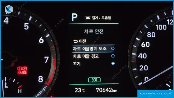 HYUNDAI SONATA 2.0 LPG(RENTAL CAR)