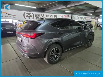 LEXUS NX PREMIUM
