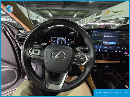 LEXUS NX PREMIUM