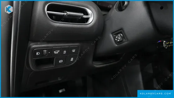 HYUNDAI PALISADE GASOLINE 2.5T 2WD 9-SEATER