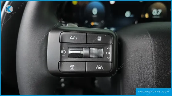HYUNDAI PALISADE GASOLINE 2.5T 2WD 9-SEATER