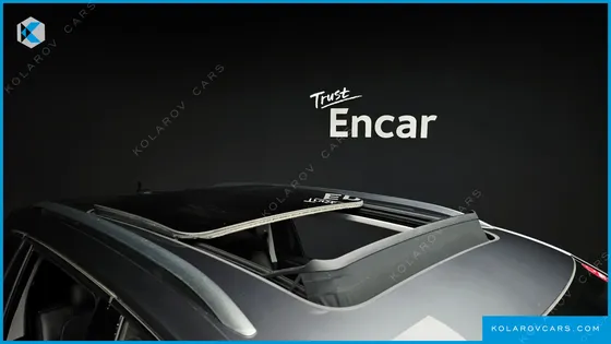 VOLKSWAGEN TIGUAN 2.0 TSI PRESTIGE