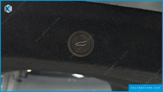 TESLA MODEL Y RWD