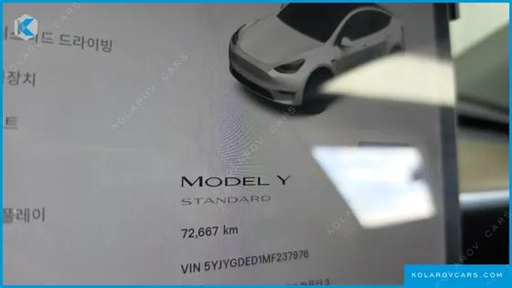 TESLA MODEL Y STANDARD RANGE RWD