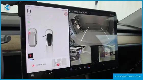 TESLA MODEL Y STANDARD RANGE RWD