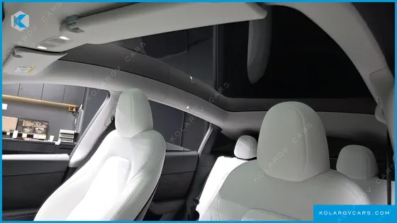 TESLA MODEL Y RWD