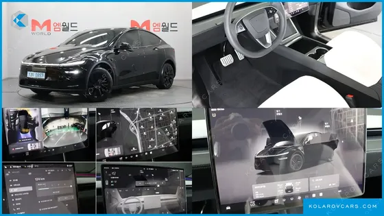 TESLA MODEL Y RWD