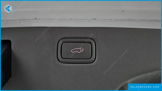 KIA CARNIVAL 9-SEATER NOBLESSE SPECIAL