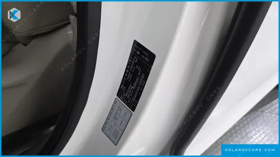 KIA CARNIVAL 9-SEATER NOBLESSE SPECIAL
