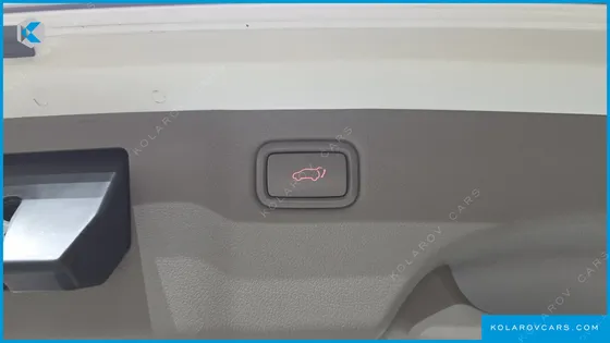 KIA CARNIVAL 9-SEATER NOBLESSE SPECIAL
