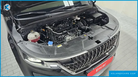 KIA CARNIVAL DIESEL 9-SEATER HI-LIMOUSINE