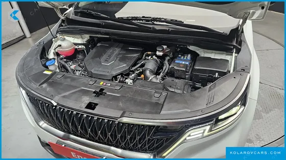 KIA CARNIVAL DIESEL 9-SEATER SIGNATURE