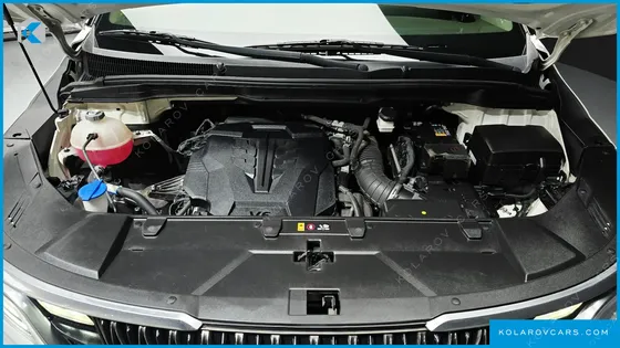 KIA CARNIVAL GASOLINE 9-SEATER HI-LIMOUSINE