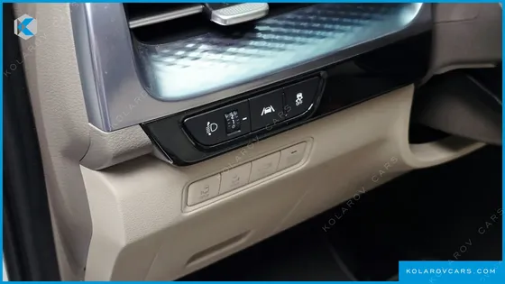 KIA CARNIVAL GASOLINE 9-SEATER HI-LIMOUSINE