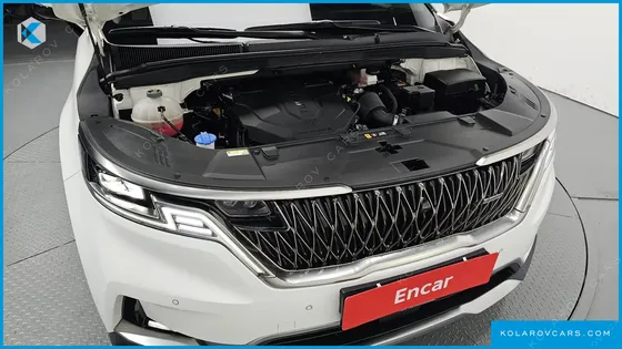 KIA CARNIVAL DIESEL 9-SEATER HI-LIMOUSINE(SPECIAL VEHICLE)