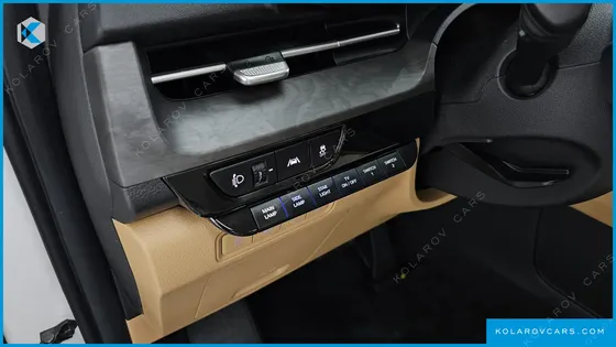 KIA CARNIVAL DIESEL 9-SEATER HI-LIMOUSINE(SPECIAL VEHICLE)