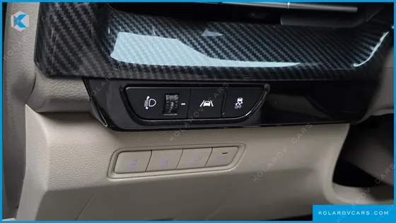KIA CARNIVAL GASOLINE 9-SEATER LIMOUSINE(SPECIAL VEHICLE)