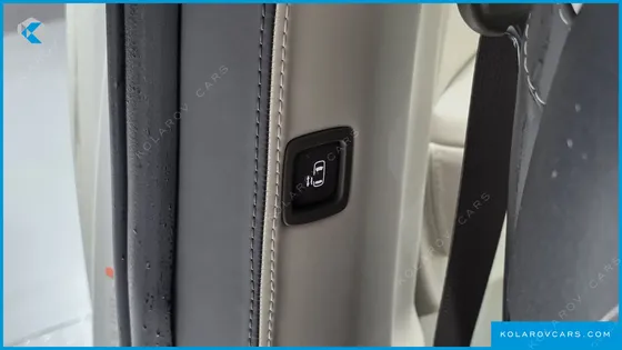 KIA CARNIVAL GASOLINE 9-SEATER LIMOUSINE(SPECIAL VEHICLE)