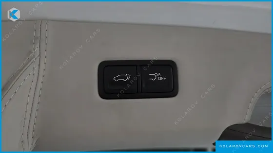 KIA CARNIVAL GASOLINE 9-SEATER LIMOUSINE(SPECIAL VEHICLE)