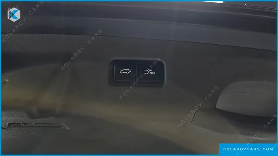 KIA CARNIVAL GASOLINE 9-SEATER HI-LIMOUSINE