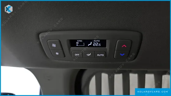 KIA CARNIVAL GASOLINE 9-SEATER HI-LIMOUSINE