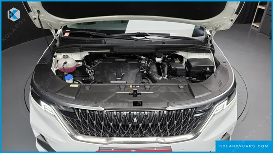 KIA CARNIVAL GASOLINE 7-SEATER HI-LIMOUSINE