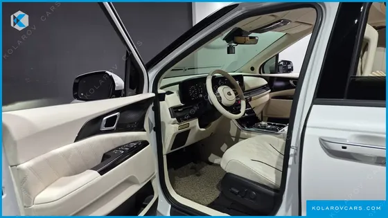 KIA CARNIVAL GASOLINE 9-SEATER LIMOUSINE(SPECIAL VEHICLE)