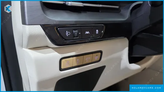 KIA CARNIVAL GASOLINE 9-SEATER LIMOUSINE(SPECIAL VEHICLE)